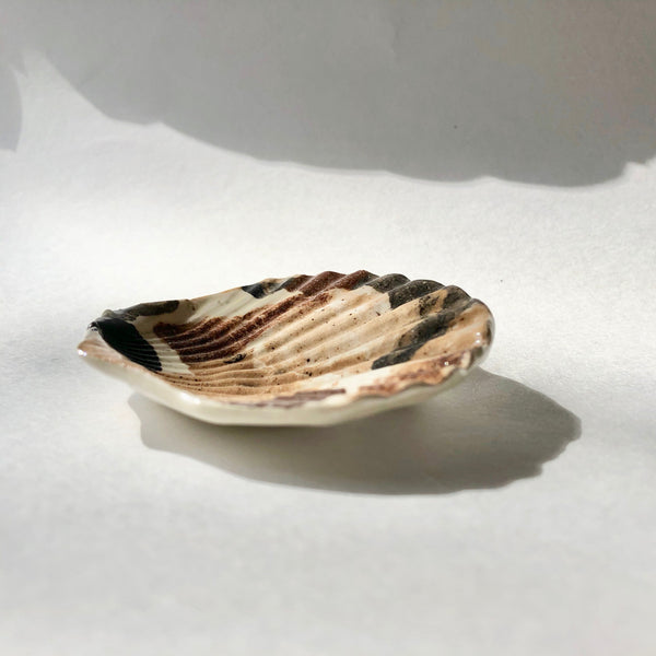 The Shell Dish