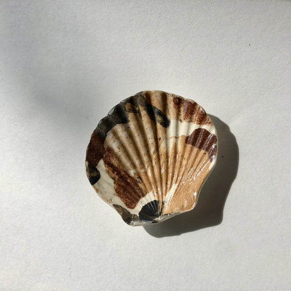 The Shell Dish
